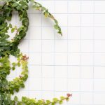 Spotless kitchen tiles with fresh caulking, demonstrating the importance of recaulking for maintaining a clean and appealing kitchen environment.