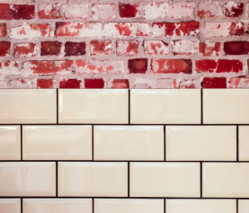 Common Bacteria Build Up in Grout